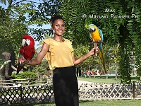 Miss Seychelles